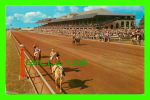 HORSES RACES - KEENELAND RACE COURSE, LEXINGTON, KENTUCKY - HORSES ENTERING TRACK FROM PADDOCK - - Paardensport