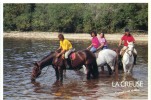 Hippisme, Chevaux,cavaliers, Boire, La Creuse, L´Espace Vert Et Bleu,Egletons - Paardensport