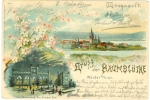 Werder A.d. Havel, Baumblüte, Farb-Litho, 1898 - Werder