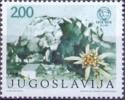 YU 1974-1568 100A°BERGSTEIGERVEREISENS, YUGOSLAVIA. 1 X 1v, MNH - Unused Stamps