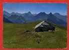 * Panorama Depuis La Région Des Dents Vertes Sur Charmey. A Droite Le Moléson Et La Dent De Broc-1966(Chèvres) - Broc