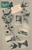 Souvenir De CHENY  - Jolie Carte Fantaisie Fleurs Avec Vues Multiples écrite En 1908 - Cheny