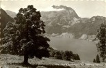 Vorderthal - Wägithalersee Gegen Fluhberg               1958 - Vorderthal