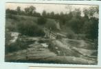 CP Gorron - Paysage Et Passerelle Sur La Colmont - Gorron