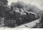 FERROVIAIRE / TRAIN / SNCF / Image : Région Est Locomotive à Vapeur 231 B 37 En Tête D'un Rapide à Esbly En 1952 - Other & Unclassified