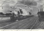 FERROVIAIRE / TRAIN / SNCF / Image : Locomotive à Vapeur Derniers Panache Des 231 E Chapelon Vers Valenciennes 1955 - Sonstige & Ohne Zuordnung