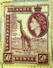 Kenya Uganda Tanganyika 1954 QEII And Giraffe 50c - Used - Kenya, Uganda & Tanganyika