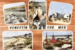 SOUVENIR DE PLENESTIN ,MULTI VUES ,COLORISEE  REF 26720 - Pénestin