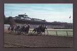 SPORTS - HORSES RACES - KEENELAND RACE COURSE - LEXINGTON KENTUCKY - Paardensport