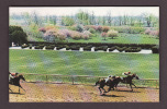 SPORTS - HORSES RACES - KEENELAND RACE COURSE - LEXINGTON KENTUCKY - Horse Show