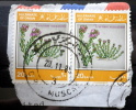 Oman - 1982 - Mi.nr.231 - Used - Plants - Teucrium - Definitives - On Paper - Oman