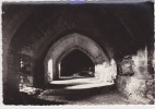 PHOTO De MAILLEZAIS (85) - Grande Cave De L´Ancienne ABBAYE ... - Maillezais