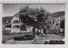 La Neuveville - Fontaine De L'adolescent Et Vue Sur La Tour De Rive - La Neuveville