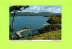 Irlande - Spanish Trawlers At Bantry Bay - Cork