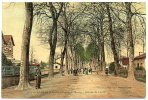 40 - Landes /  SABRES -- Entrée Du Bourg -- Avenue De Labrit. - Sabres