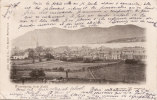 Warrenpoint From North 1903 - Autres & Non Classés