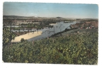 Pouilly-sur-Loire (58) : Vue Générale Des Vignobles Aux Loges En 1960. - Pouilly Sur Loire