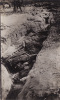 CP Photo ZONNEBEKE - Cadavres De Soldats Anglais (A10, Ww1, Wk1) - Zonnebeke