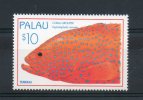 Palau. Poisson. - Palau