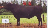 Télécarte JAPON * VACHE (572) COW * KOE * BULL * TAUREAU * STIER * PHONECARD JAPAN * TELEFONKARTE * VACA * TAURUS * - Cows