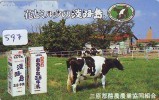 Télécarte JAPON * VACHE (597) COW * KOE * BULL * PHONECARD JAPAN * TELEFONKARTE * VACA * TAURUS * - Vaches