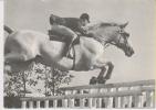 Olympiasieger Hermann Schridde Auf Pferd Kamerad Continental Karte Farmer Sw 70er - Paardensport