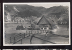 SCHWARZWALD Idylle - Wald