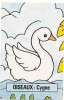 1 Carte De Jeu /  Cygne ( Blanc )  /  Basse-cour Poultry Swan Oiseau Bird  /  Animaux Animal  // IM 66 - Material Und Zubehör