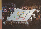 Lillehammer Albertville Cérémonie ? Jeux Olympiques Hiver Winter Olympics Games Olympische Winterspiele Drapeau Flag - Winter 1994: Lillehammer