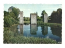 Cp, 86, Lussac-les-Châteaux, Ruines D'un Manoir Féodal - Lussac Les Chateaux