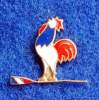 FRANCE ROWING FEDERATION , OLD PIN - Rowing