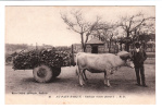 Région - Au Pays Basque - Attelage (roues Pleines) - Editeur: M.D N° 45 (boeufs) - Aquitaine