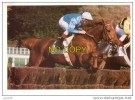 VILLEZ - Ecurie WILDENSTEIN - Hippodrome D´ AUTEUIL - Paardensport