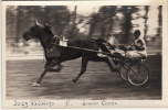 Hippisme - Carte Photo - Course Trotteur - Suzy Williams I - Eugène Carré - Horse Show