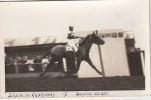 Hippisme - Carte Photo - Course - Sirène De Charolais I - Eugène Carré - Paardensport