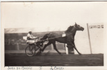 Hippisme - Carte Photo - Course - Sire Du Marais I - Eugène Carré - Horse Show