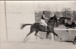 Hippisme - Carte Photo - Course - Ugene II - Horse Show