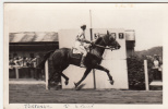 Hippisme - Carte Photo - Course - Tortonne I - E. Carré - Horse Show