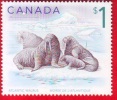 Canada, Atlantic Walrus / Morse, Single Stamp, 2012 - Single Stamps