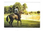 19  Village Pompadour ( Corrèze) Terrain Joueurs Tennis équitation Cheval -  Photo Club Méditerranée 1982 - Tennis