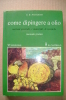 PET/32 Nicodemi COME DIPINGERE AD OLIO Il Castello 1980/PITTURA/QUADRI - Andere & Zonder Classificatie