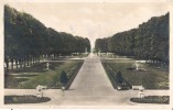 Schwetzingen Hirschgruppr Mit Dem Schloss  -unused - Schwetzingen