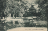 85 - LUCON - CPA -  Jardin Dumaine, Les Cygnes - Lucon