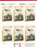 Canada #BK292 Pane Of 6 80c Lincoln´s Sparrow - Birds By Audubon - Cuadernillos Completos