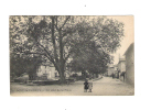 PONT DE CHERUY -  Un Coin De La Place - - Pont-de-Chéruy