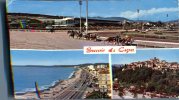 (101) Horse Racing - Course - Hippodrome - Hippisme - Cagnes Sur Mer - Horse Show