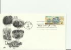 USA 1981- FDC DESERT PLANTS OF AMERICA-CACTUS - AGAVE DESERTI W 1 STAMP OF 20 CENTS POSTM TUCSON AZ DEC 1, RE  500 - 1981-1990