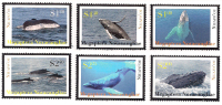NIUAFO'OU // 2011 - Baleines - 6v Neufs // Mnh - Tonga (1970-...)