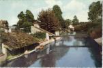 CPSM ARPAJON (Essonne) - Les Bords De L'Orge - Arpajon