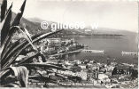 MONTE-CARLO - Vue Sur Le Port, La Principauté, Le Cap Martin - N° P. 13 - Harbor